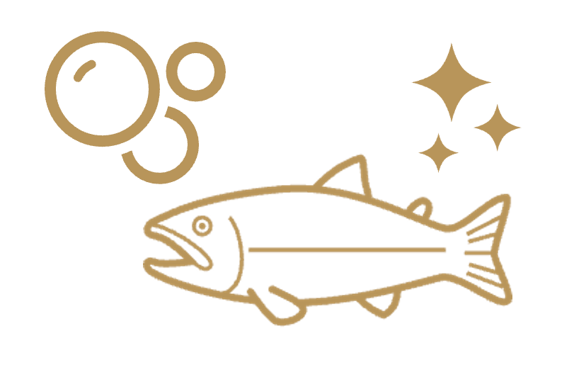 サーモン由来成分