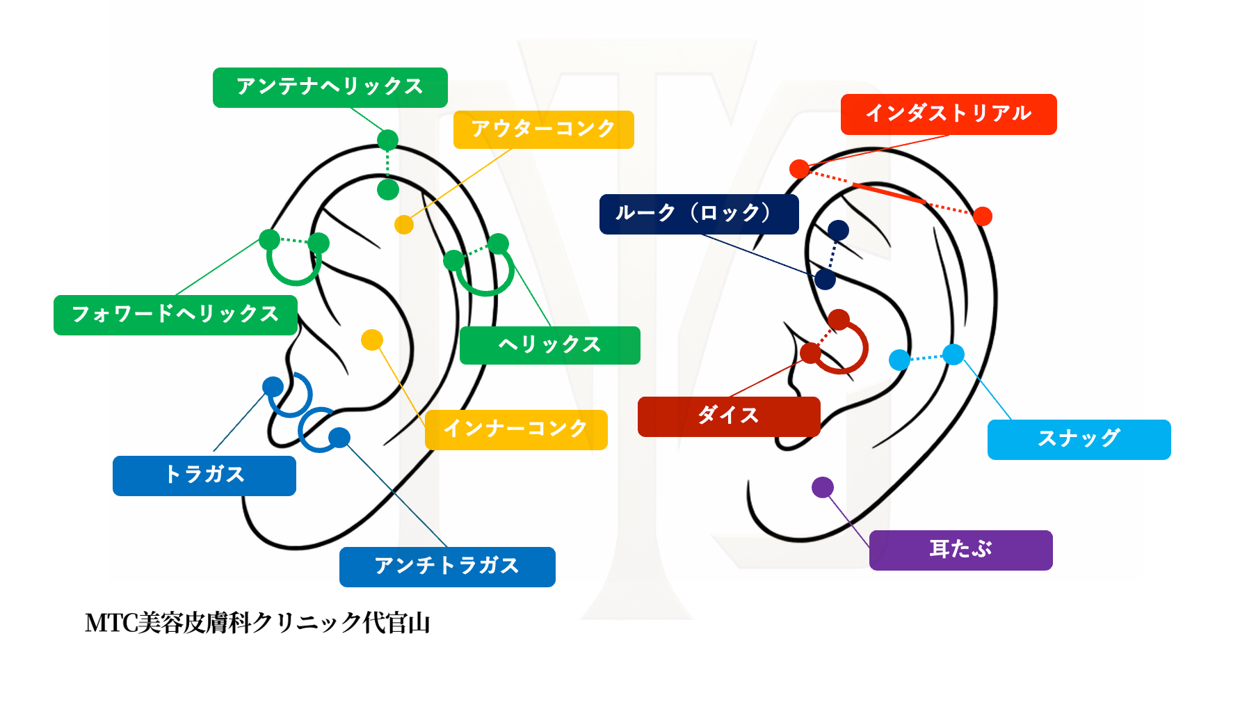 耳ピアスの種類と位置を示した図解イラスト — ヘリックス・インダストリアル・トラガス・コンク・ロブなど